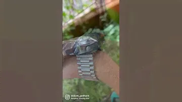 RADO DIASTAR‼️